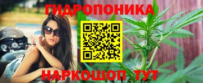 apvp Пугачёв