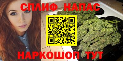apvp Пугачёв